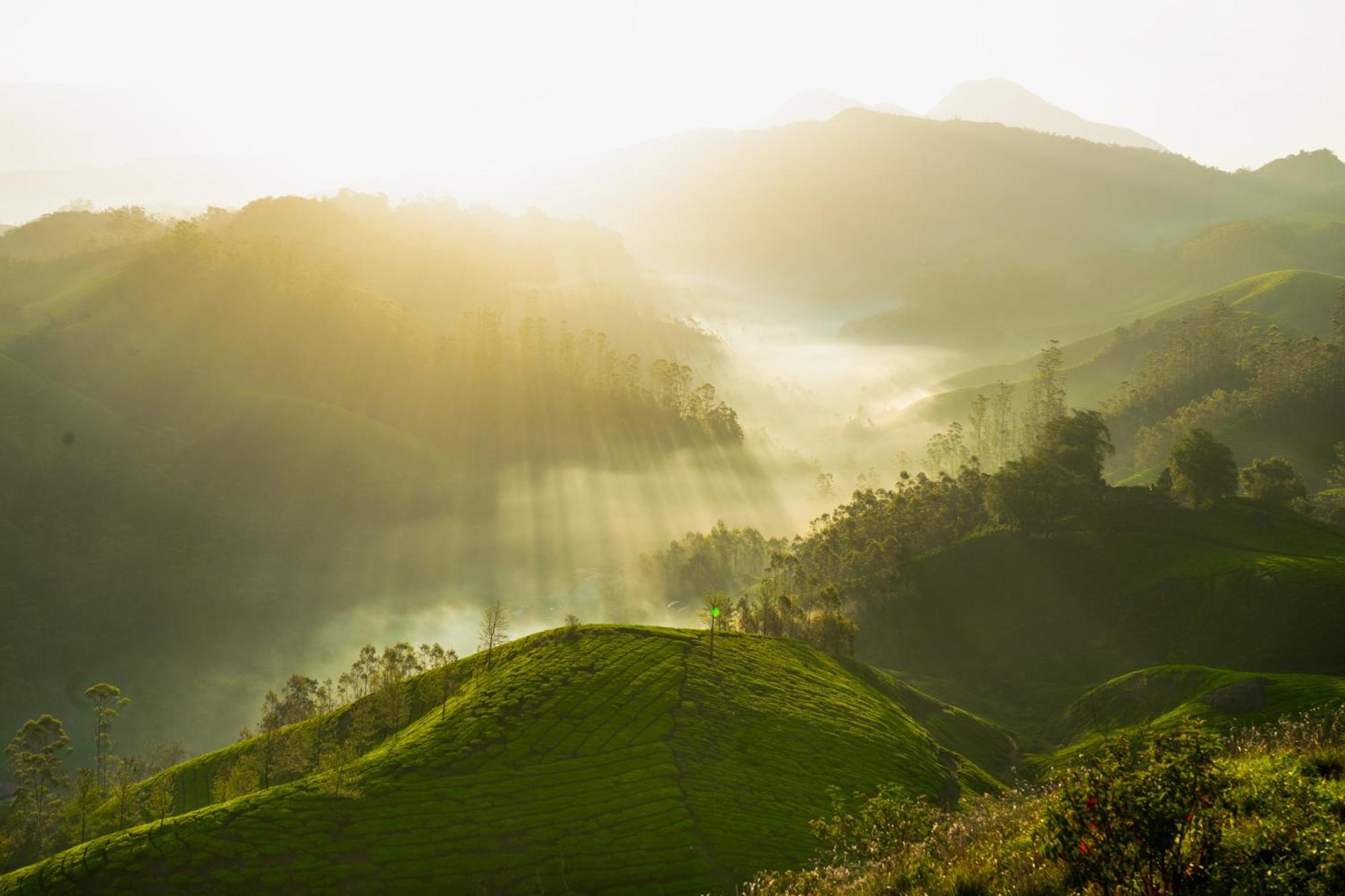Camelot Resort Munnar Esterno foto